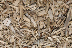biomass boilers Escomb